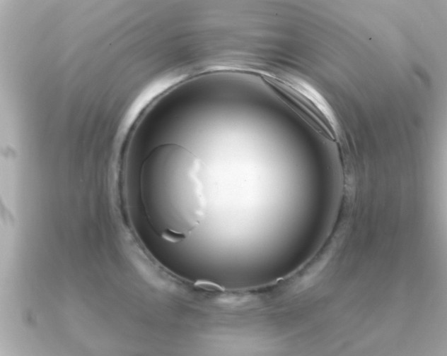 X0000091101146200708131101