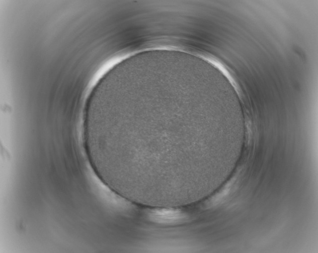 X0000091101147200708131101