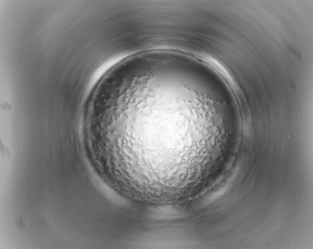 X0000091101149200708131101