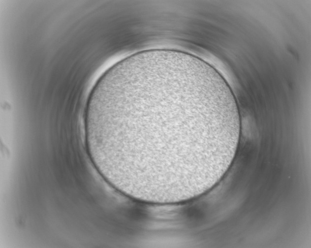 X0000091101150200708131101