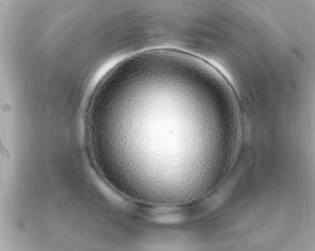 X0000091101151200708131101