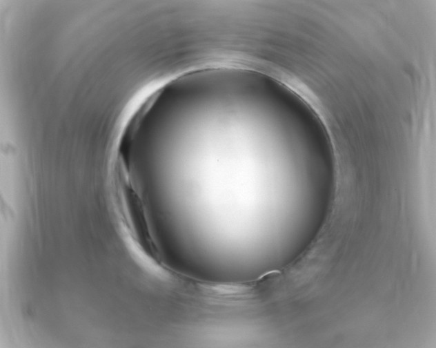 X0000091101152200708131101