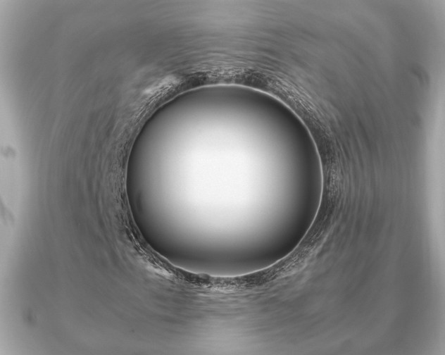 X0000091101153200708131101