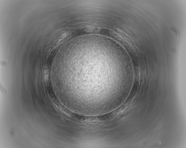 X0000091101154200708131101