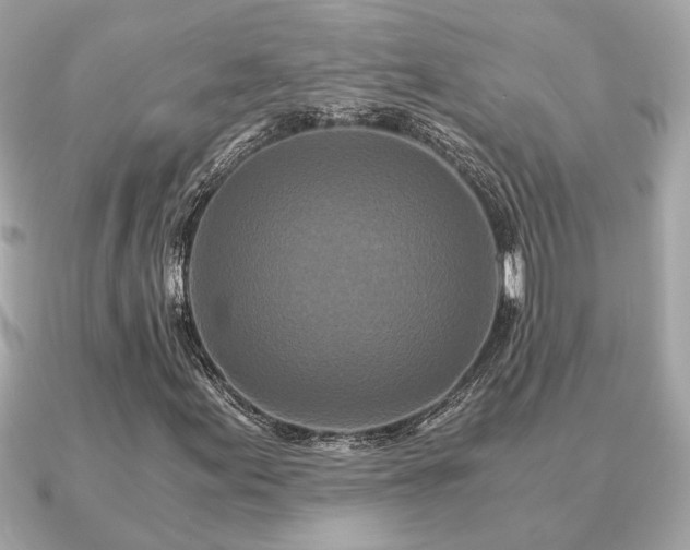 X0000091101155200708131101