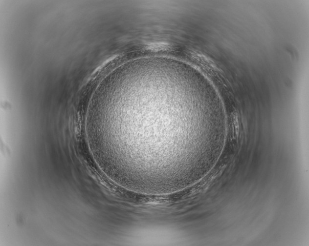 X0000091101158200708131101