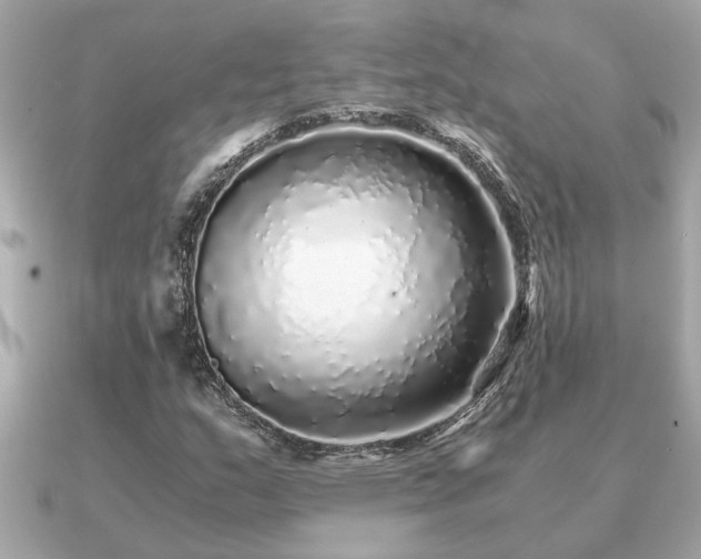 X0000091101159200708131101