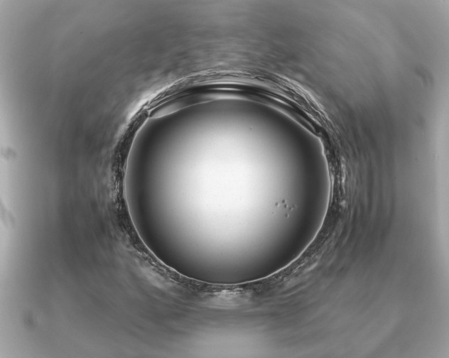 X0000091101160200708131101