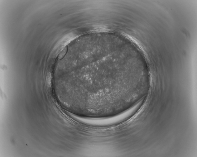 X0000091101161200708131101