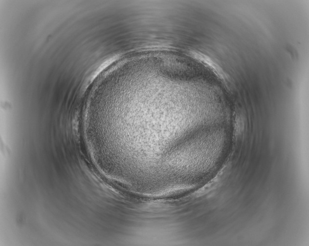 X0000091101162200708131101