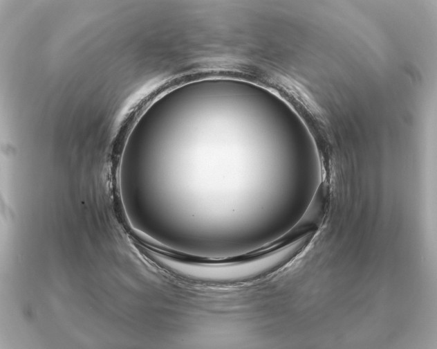 X0000091101164200708131101