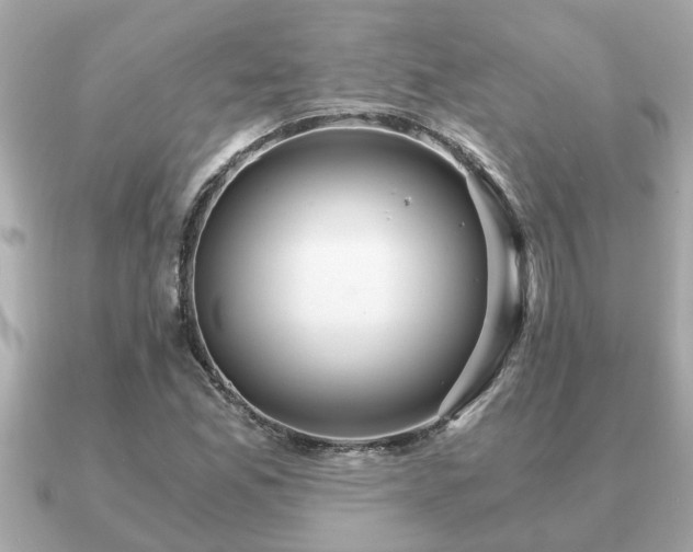 X0000091101165200708131101