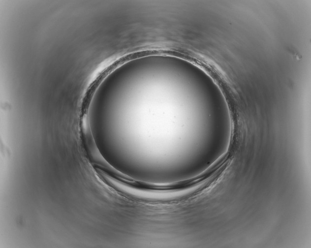 X0000091101168200708131101