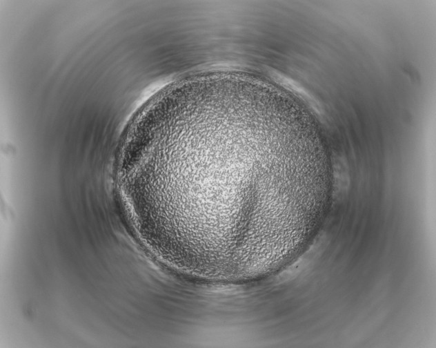 X0000091101170200708131101