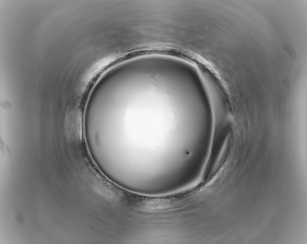 X0000091101171200708131101