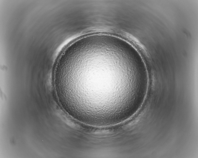 X0000091101174200708131101