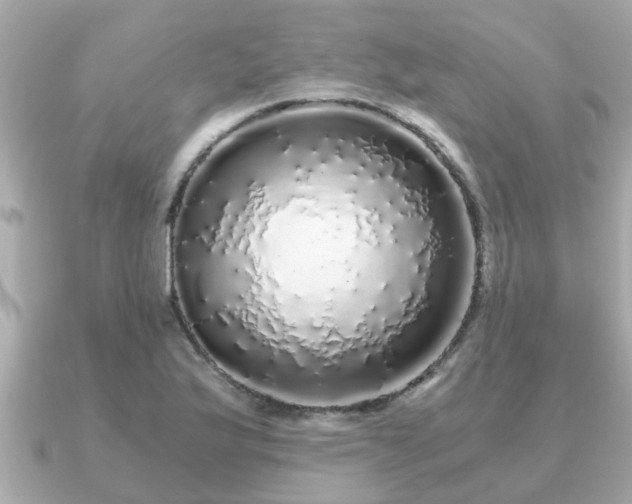 X0000091101175200708131101