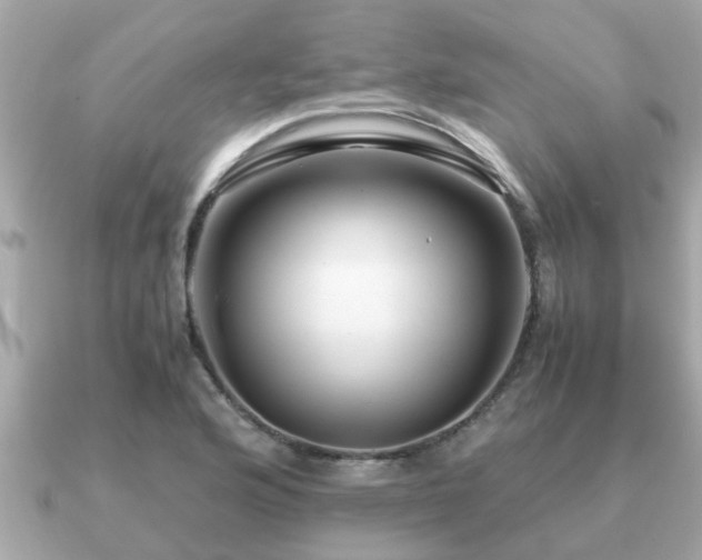 X0000091101176200708131101