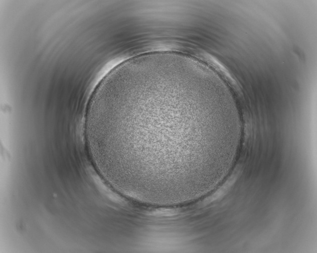 X0000091101178200708131101