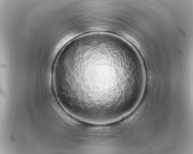 X0000091101179200708131101