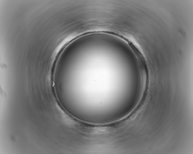 X0000091101181200708131101