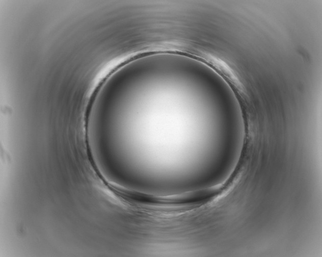 X0000091101184200708131101