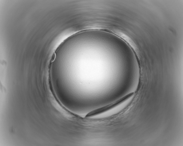 X0000091101187200708131101