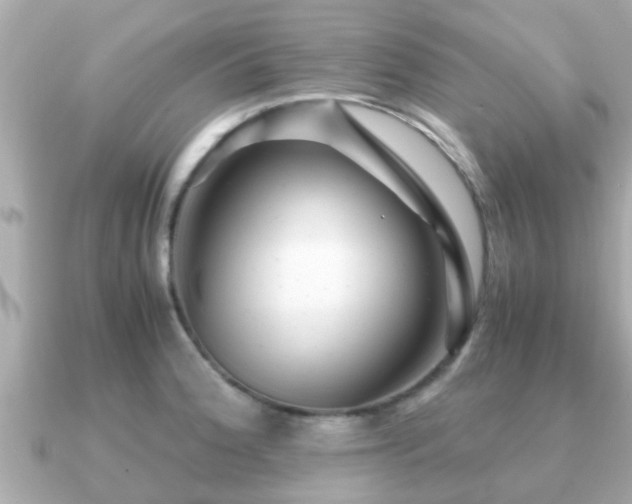 X0000091101188200708131101