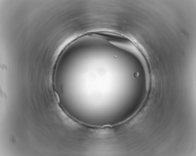 X0000091101189200708131101