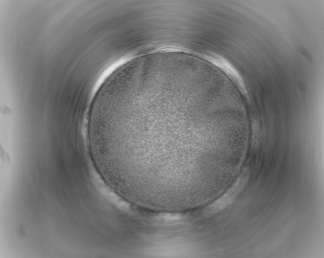 X0000091101190200708131100