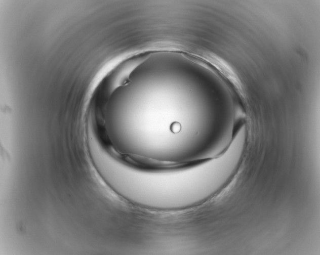 X0000091101192200708131100