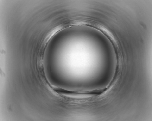 X0000091101193200708131100