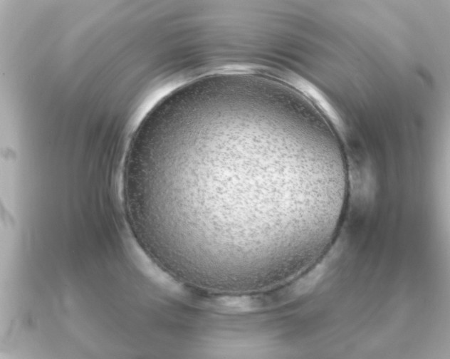 X0000091101194200708131100