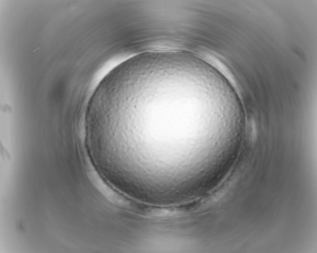 X0000091101195200708131100