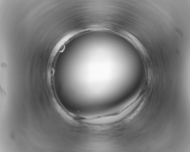 X0000091101196200708131100