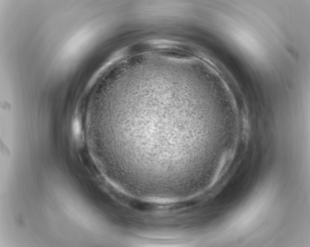 X0000091101198200708131100