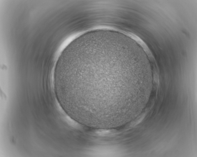 X0000091101199200708131100