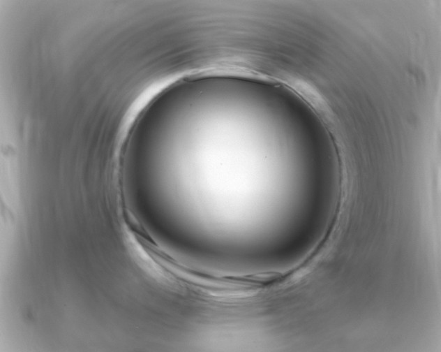 X0000091101200200708131100