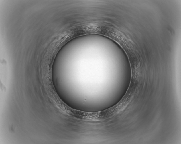 X0000091101201200708131100