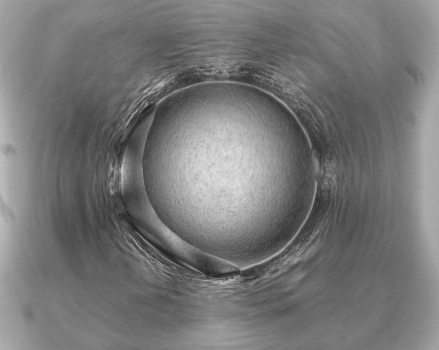 X0000091101202200708131100