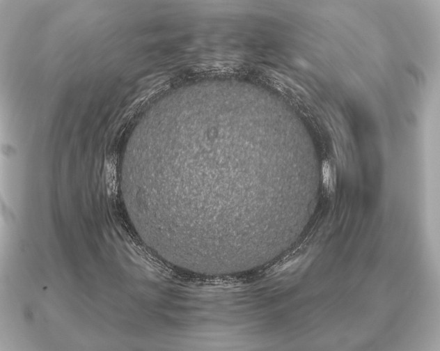 X0000091101203200708131100