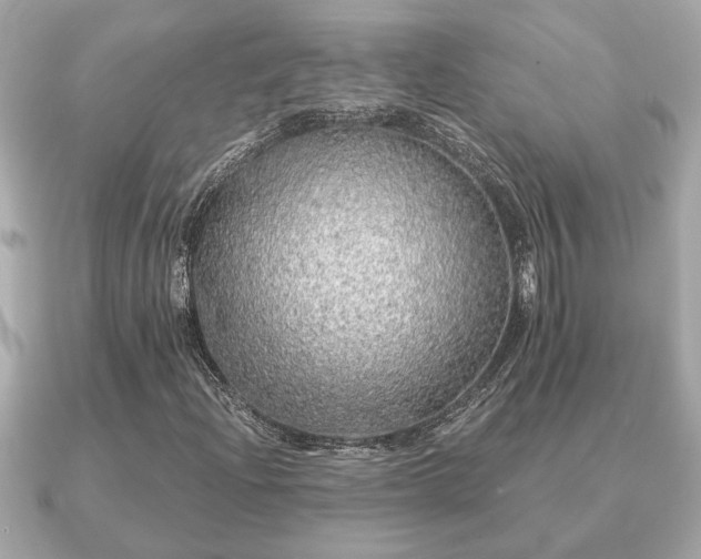 X0000091101204200708131100