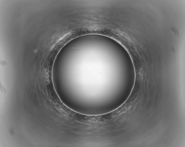 X0000091101205200708131100