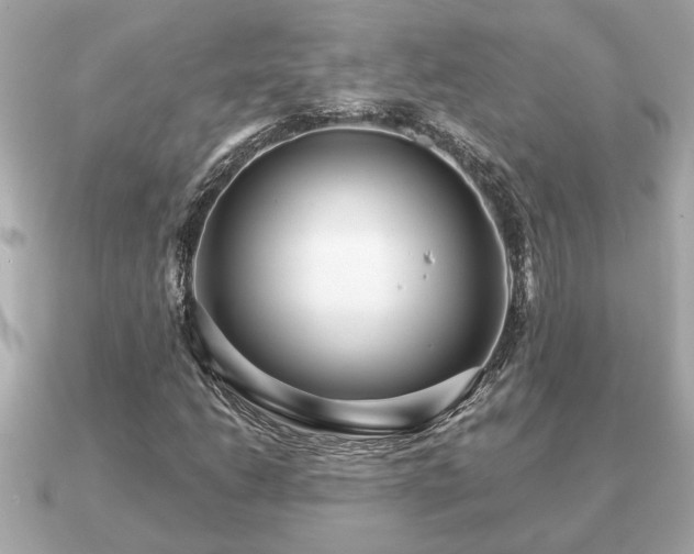 X0000091101206200708131100