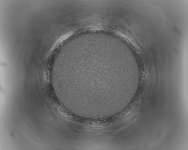 X0000091101207200708131100