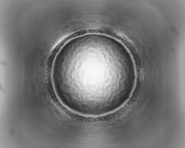 X0000091101208200708131100