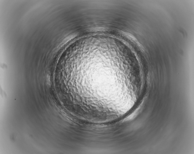 X0000091101209200708131100