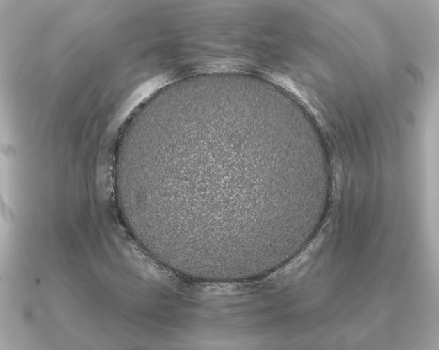 X0000091101211200708131100