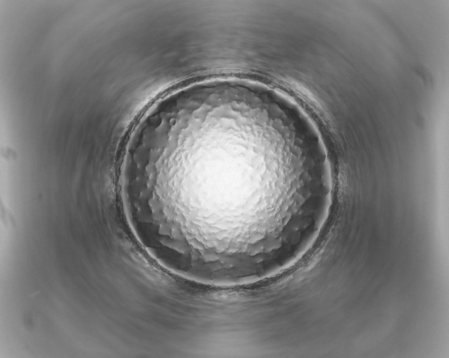 X0000091101212200708131100