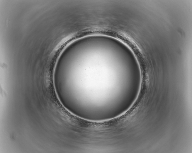 X0000091101213200708131100